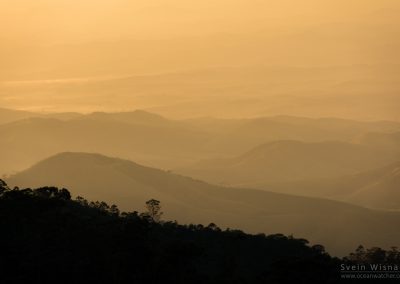 Nature and landscape 28