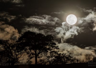 Nature and landscape 12